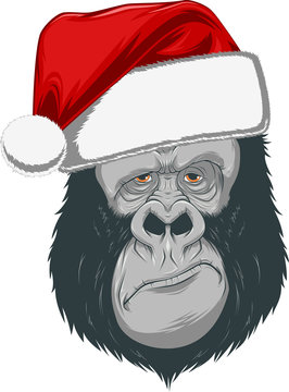 Head gorilla in a cap