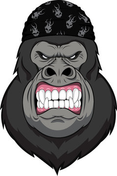 Monkey biker