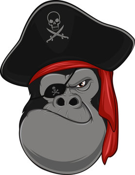 Monkey harsh pirate
