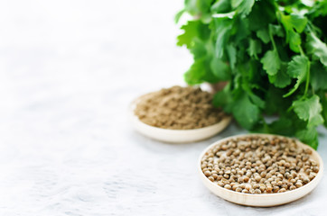 coriander