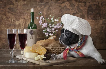 Rolgordijnen Franse bulldog met koksmuts © Alexey Kuznetsov