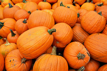 Pile of Pumpkins