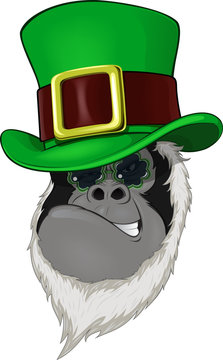 Gorilla head with hat