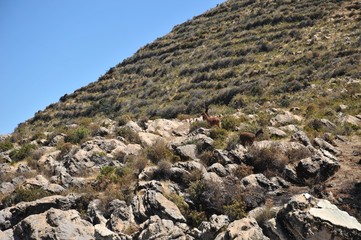 Sun island is located on lake Titicaca