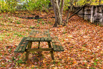 Picnic Park Bench in the Fall - 78154742