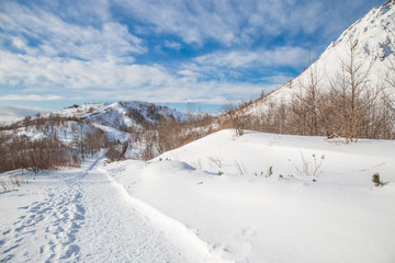 Fototapeta na wymiar Walkway on the snow road.