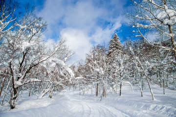 Snow on the montain, Hokaido