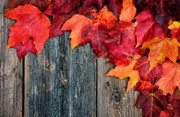 Naklejka na ściany i meble Autumn Leaves on Picnic Table