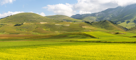 Piano Grande di Castelluccio (Italy)