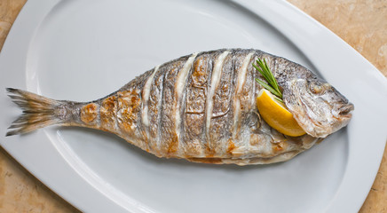 Grilled Dorado. white plate background. up view