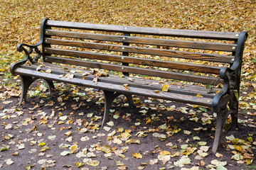 Vintage wooden bench in park. autumn