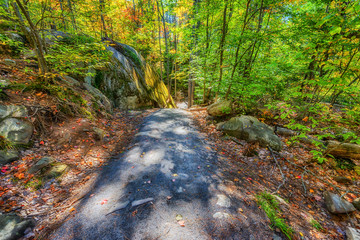 Rocky Path in an Autumn Forest