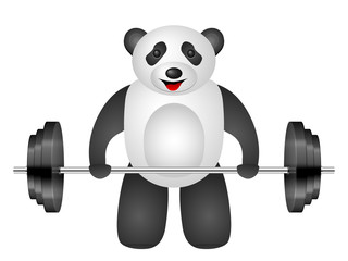 panda weight