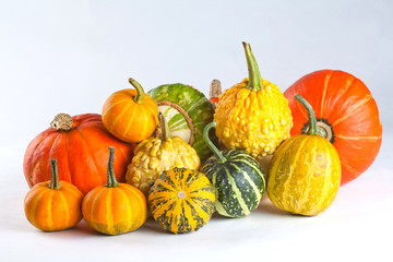 Pumpkins varieties.