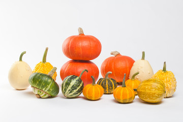 Pumpkin Varieties. Colorful