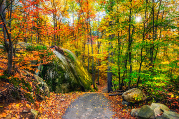Rocky Path in an Autumn Forest - 78159136