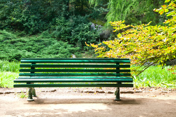 Vintage green wooden bench on a background of nature
