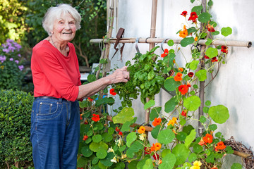 Fototapeta na wymiar Smiling Old Woman Posing at her Flower Vine.