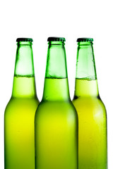 green beer bottles isolated on the white