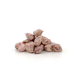 peanut isolated on white background