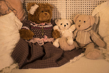 Teddy bear's family