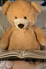 Teddy bear reading