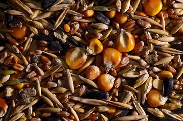 Grains and Seeds
