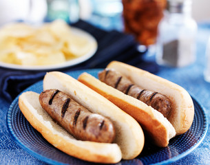 bratwursts with grill marks on colorful plate