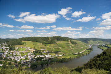 Fototapeta na wymiar Landscape with the river Moselle in Germany