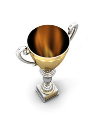 Trophy cup