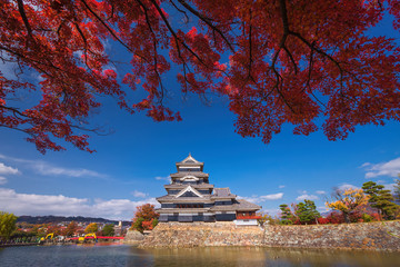 The Matsumoto Castle in Autumn, Nagano prefecture, Japan.
