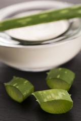 aloe vera - leaves and cream