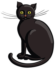 Black cat sitting.