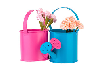 Garden watering can