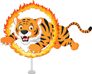 Fototapeta premium Cartoon tiger jumps through ring of fire