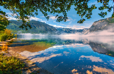 Foggy summer morning on the Bohinj lake