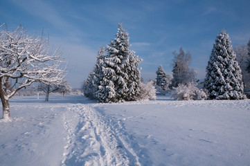 Winterlandschaft