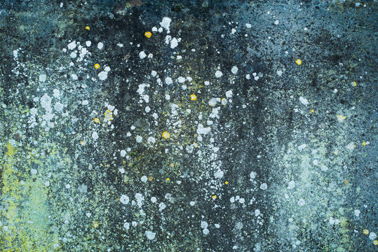Wall texture