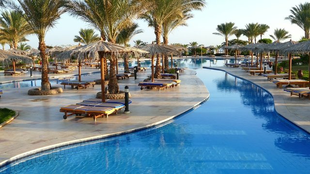 Swimming pool with palm trees in resort at morning 4k