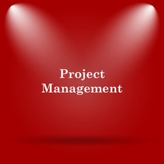 Fototapeta na wymiar Project management icon