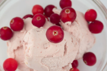 ice cream with cranberry vitamin c organic soft selective focus