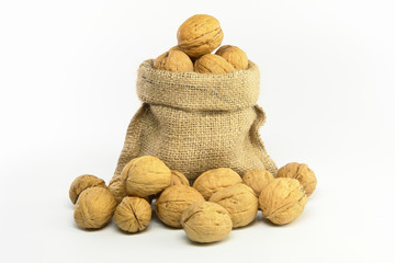 Walnut in Gunny Bag