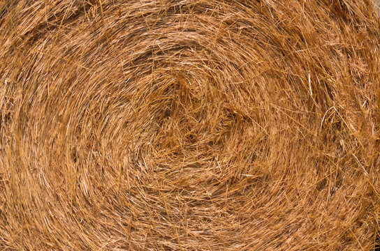 Swirled bail of hay - up close