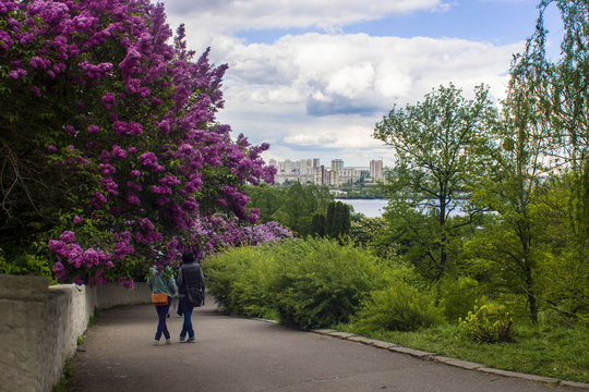 Panorama of the city of Kiev. Ukraine. View of the monastery Vyd