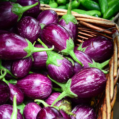 Eggplant purple