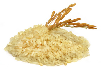 Golden paddy seeds with rice