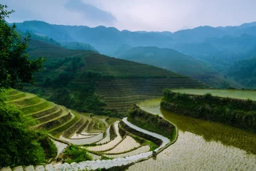 Foto op Plexiglas terrasvormige rijstvelden in Azië © zariam74