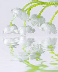 clochettes de muguet