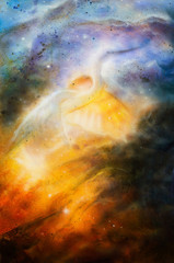Bird  Heron in beautiful space airbrush paintin on canvas