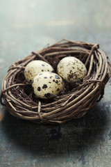 Quail easter eggs in a nest